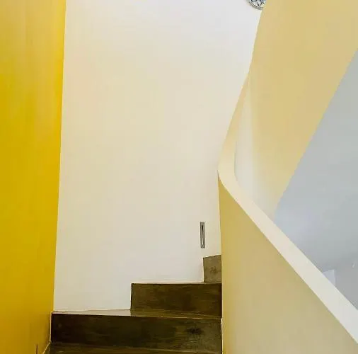 El Casot فيلة *