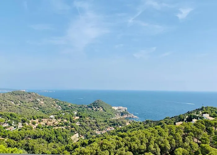 El Casot